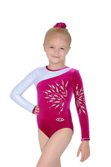 Eclipse Long Sleeved Gymnastics Leotard
